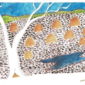 Untitled - Works On Paper - Seth Namatjira