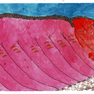 Untitled - Works On Paper - Seth Namatjira