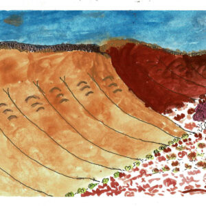 Untitled - Works On Paper - Seth Namatjira