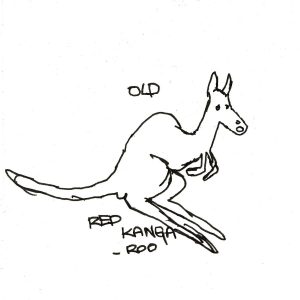 Old Red Kangaroo by Melanie Blue