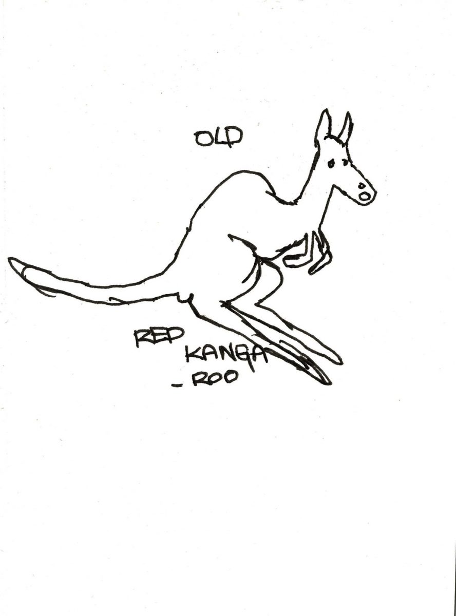 Old Red Kangaroo by Melanie Blue